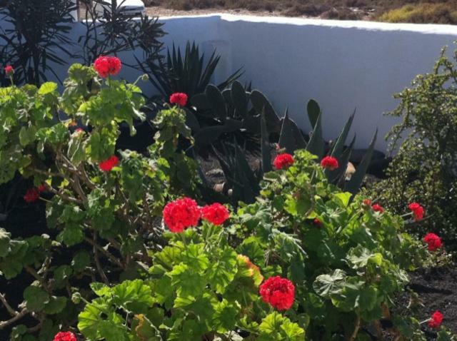 Casa Callao Famara Luaran gambar
